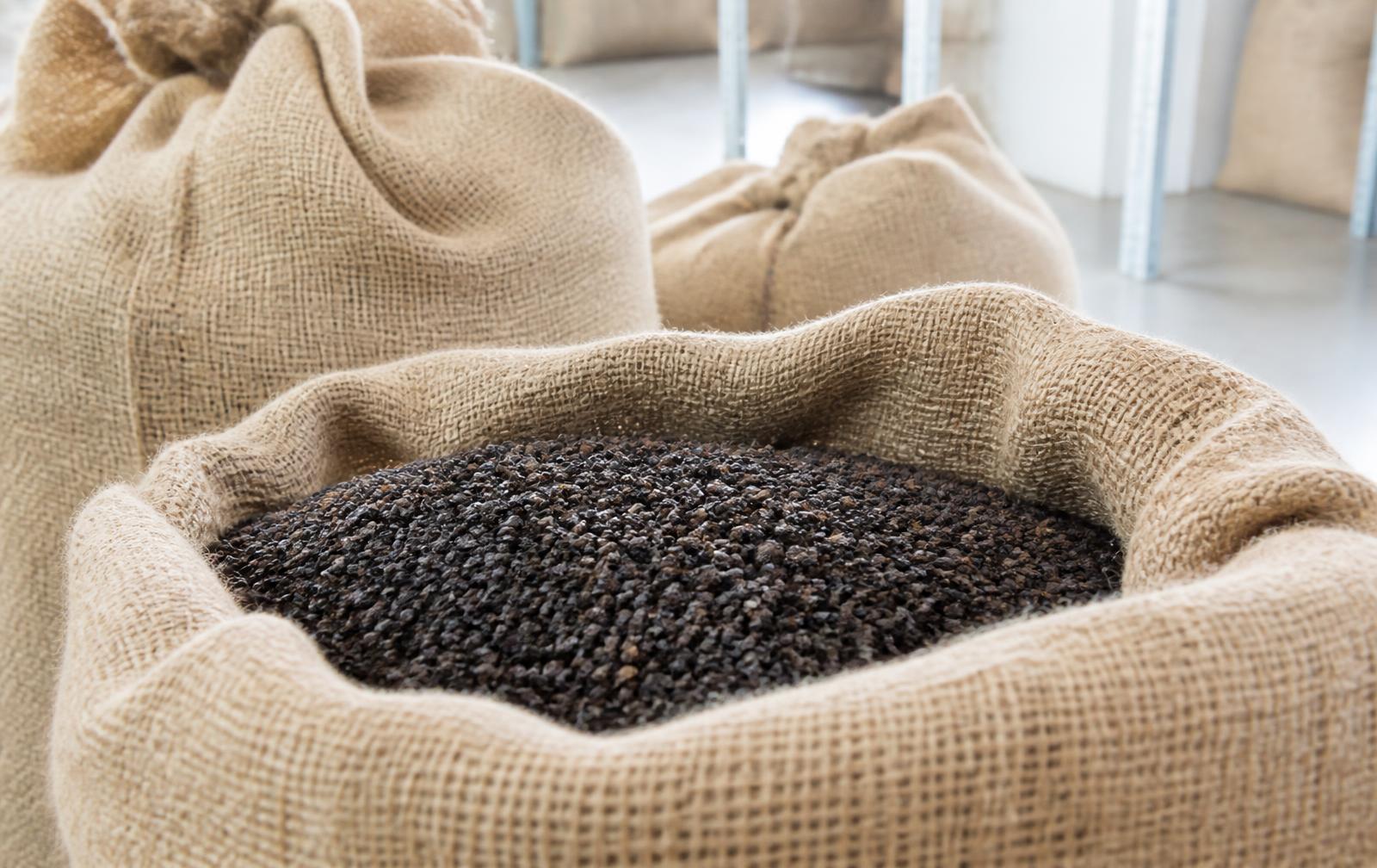 Open jute sack filled with black peppercorns ready for bulk supply